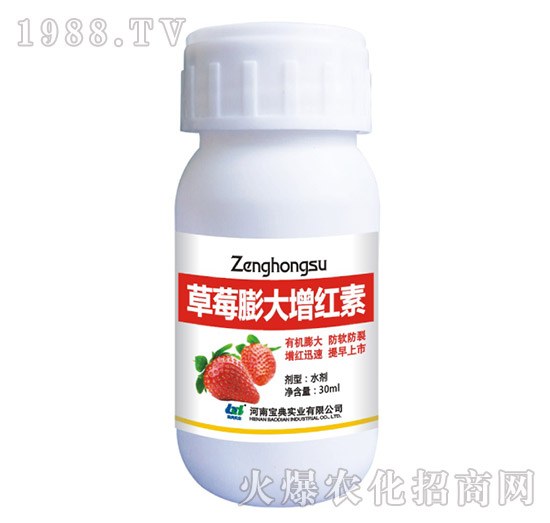 ��ݮ������t��-���䌍(sh��)�I(y��)