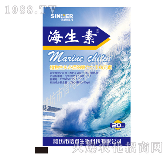 ������-�ŵ�