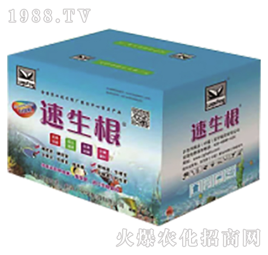 ���������У�-����