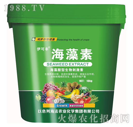 ������-����