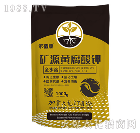 �VԴ�S�����-������-����