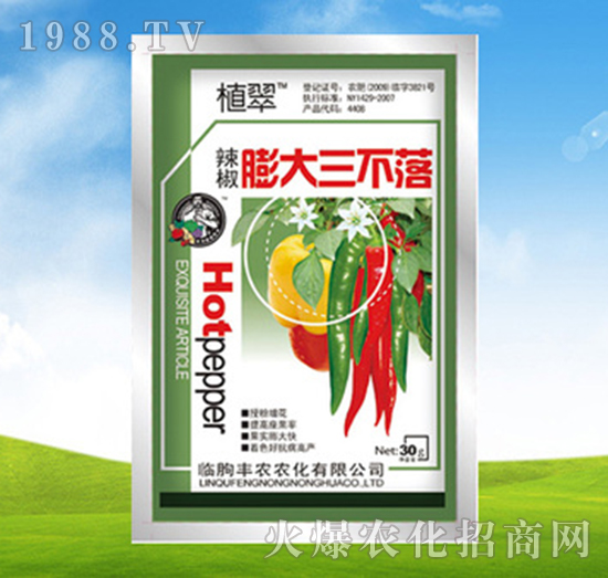 辣椒膨大三不落-植翠-豐農(nóng)農(nóng)化