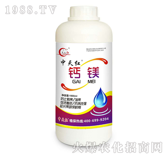 �}�V-����t