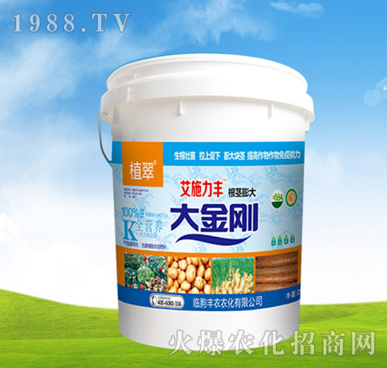 �����-ֲ��-�S�r�r��