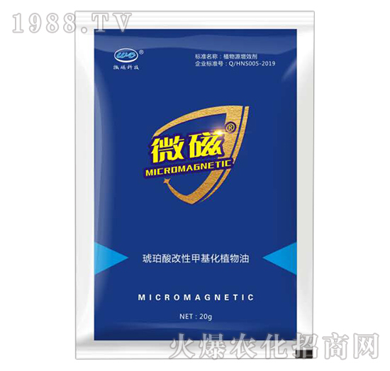 ��������Լ׻���ֲ����-΢��-�����_(d��)˹