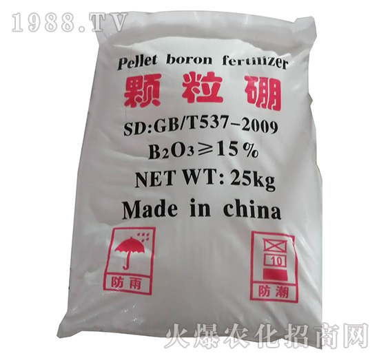 �w�����-���������