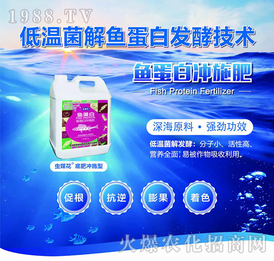 �~���כ_ʩ��-�xý��-�W��{��