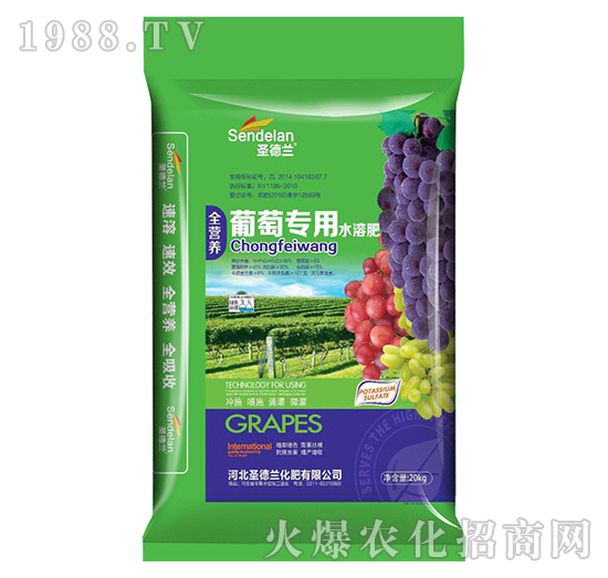 ���ь���ˮ�ܷ�-ʥ���m