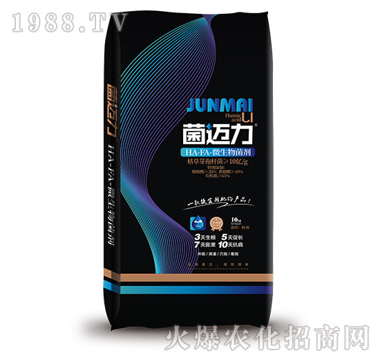 ΢�������-���~��-����̩