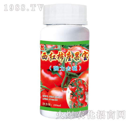 ���t������������(qi��ng)��ȥ����-��������