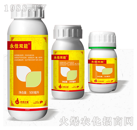 �����p��-����֮��