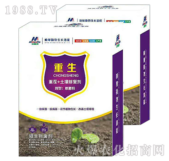 �ز�+�����ޏ̈́�-����-��ķ˹��