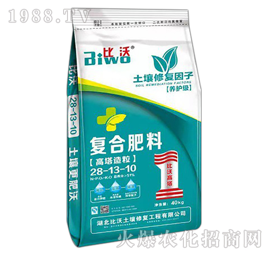 ���������ͺϷ���28-13-10-����