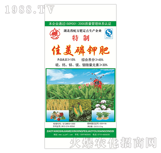 ��⛷�-����