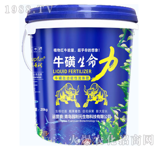 ����������-�@��Ԫ