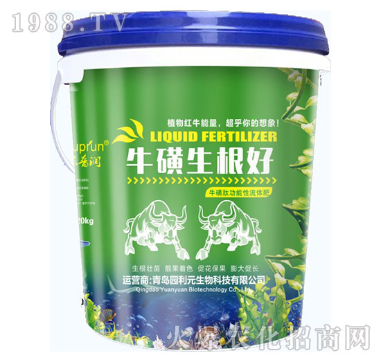 ����������-�@��Ԫ