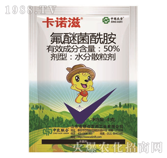 50%���Ѿ�����-���Z��-���r(n��ng)(li��n)��