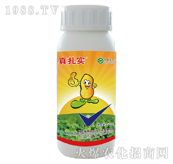 48%���x�����p��-������-���r(n��ng)(li��n)��