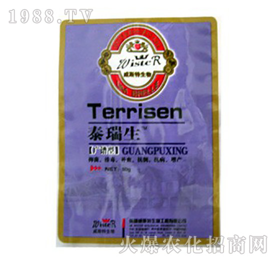 �V�V��̩����-ʥ�i