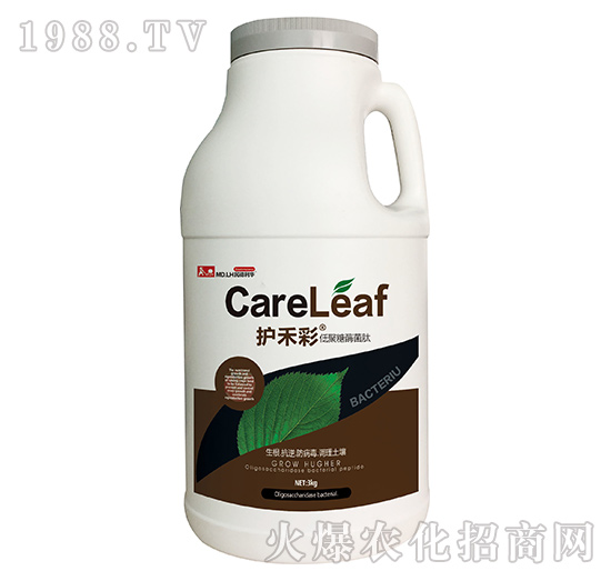 �;���ø����-�o�̲�-������A