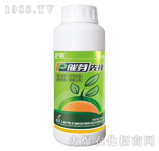 ��ѿ���h-��