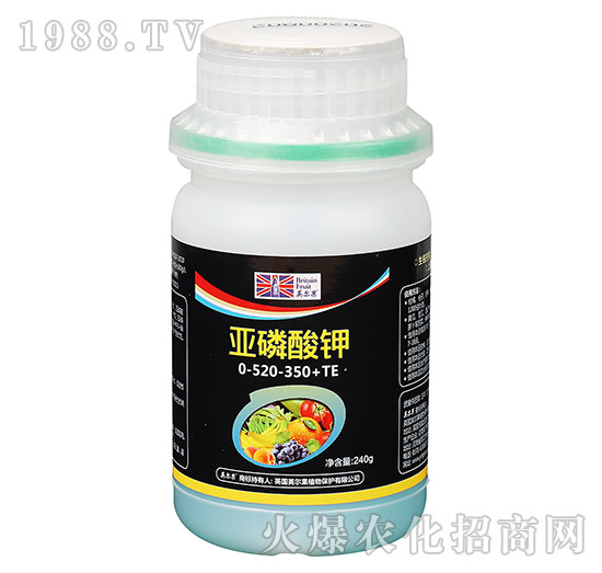 240g�������00-520-350+TE-Ӣ����