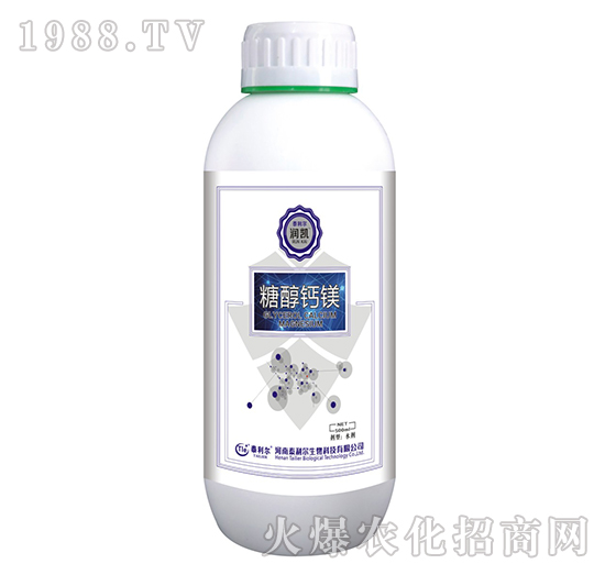 �Ǵ��}�V-���P-̩����