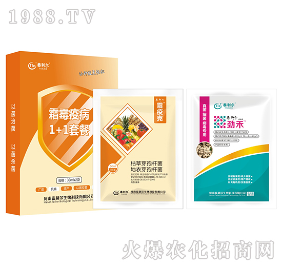 ˪ù�߲�1+1�ײ�-̩����