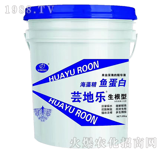 �����ͺ��徫�~(y��)����-�|�ؘ�(l��)-�Z��