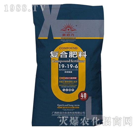 �ͺϷ���19-19-6-����