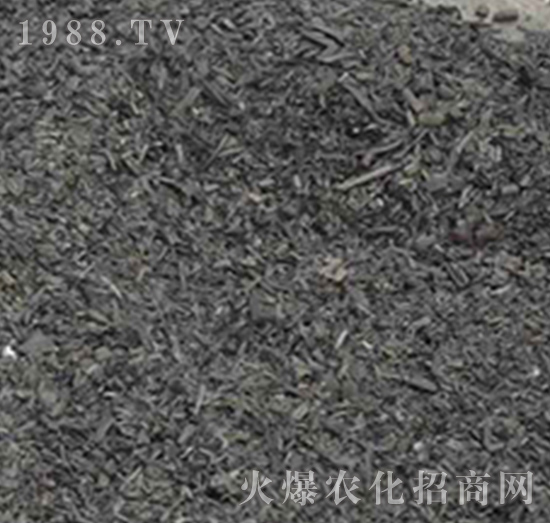 �ն�̿-���f���r�I(y��)