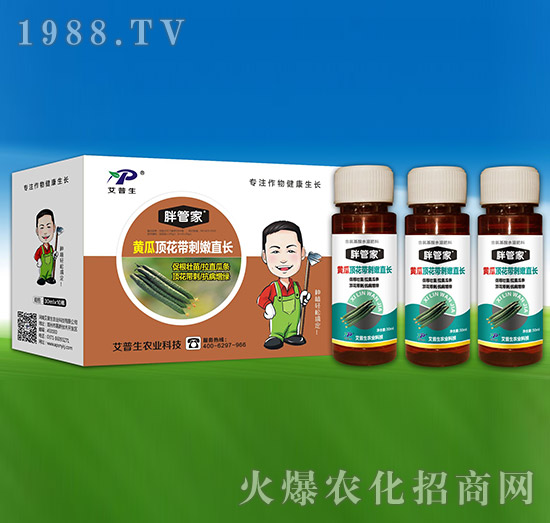 黃瓜頂花帶刺嫩直長-胖管家-艾普生