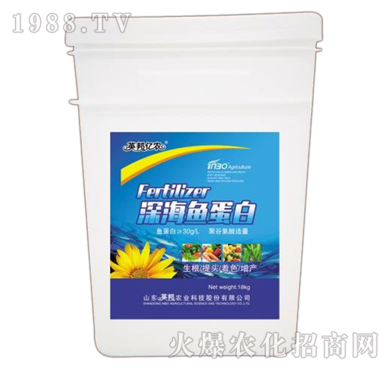 深海魚(yú)蛋白-英邦