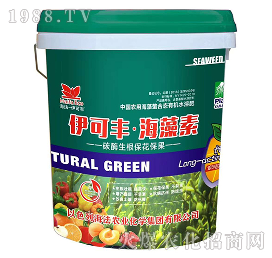 ̼ø������������-�����S��������-����