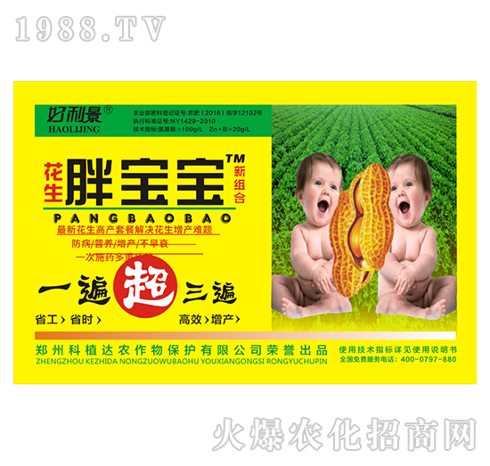 �����֌���-������-��ֲ�_