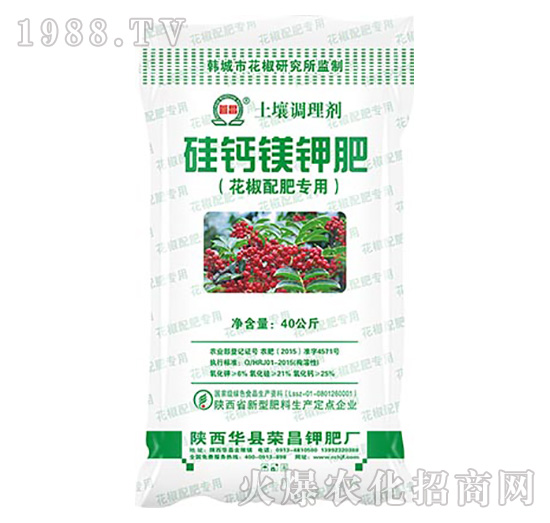 ������ʌ���-���}�V⛷�-�s��