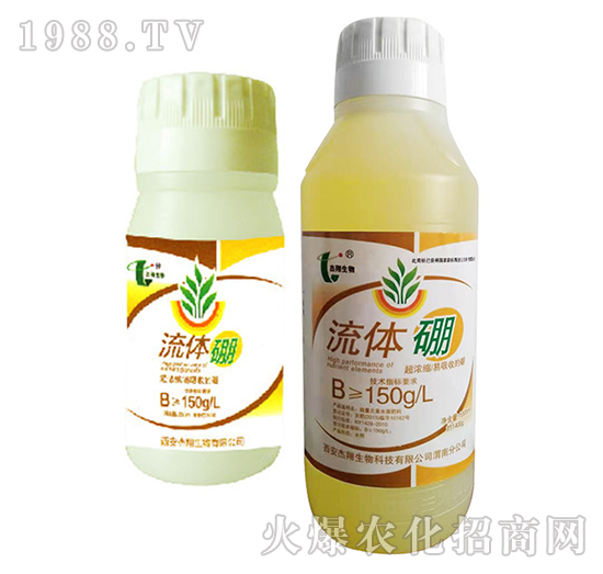 ���w��-��������