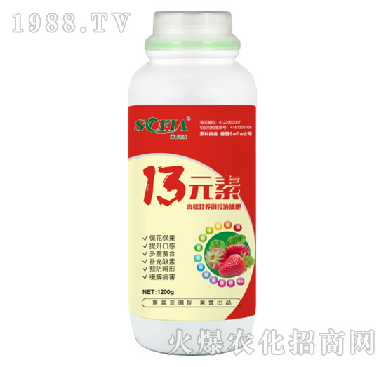 13Ԫ�أ�1200g��-���Ɓ�