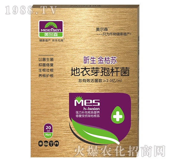 ����ѿ�ߗU��-�������K-����ɭ