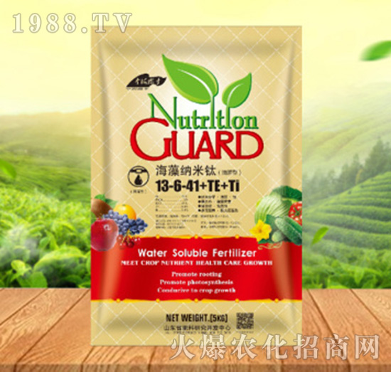 ����{����13-6-41+TE+Ti������-���ԁ��