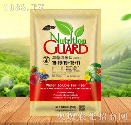 ����{����19-19-19+TE+Ti������-���ԁ��