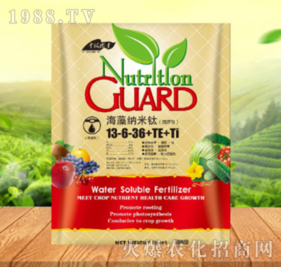 ����{����13-6-36+TE+Ti������-���ԁ��