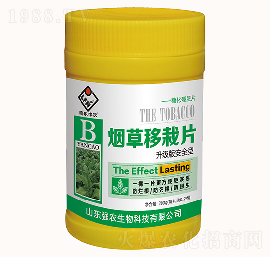 ��������Ƭ-��(qi��ng)�r(n��ng)����