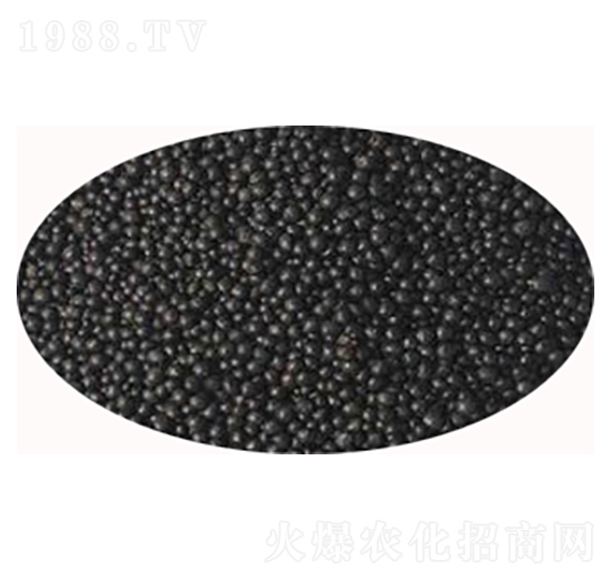 �w���ЙC��-���S����