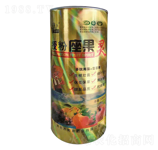 �ڷ������`-�r�