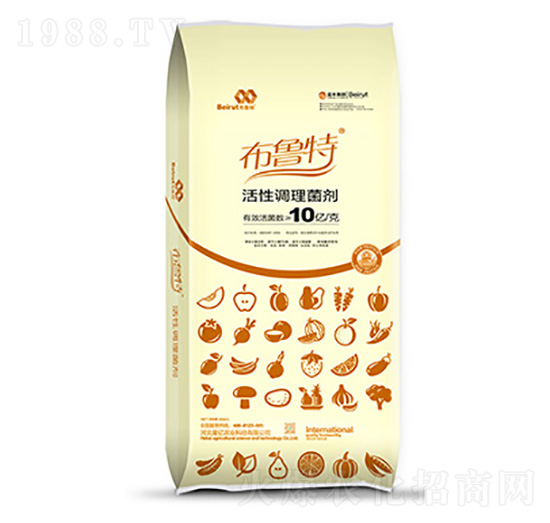 �����{������-������-�ǃ|�r(n��ng)�I(y��)