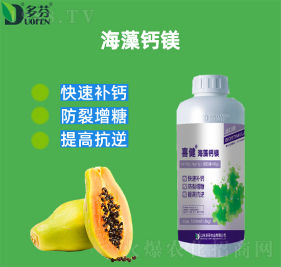 �����}�V-ϲ��-����r�I(y��)