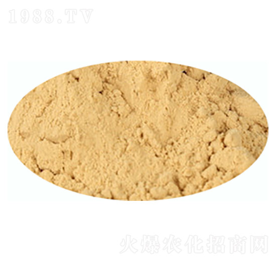 �r�I(y��)��������-�п��d��