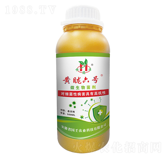 ΢�������-�S����̖(h��o)-��������