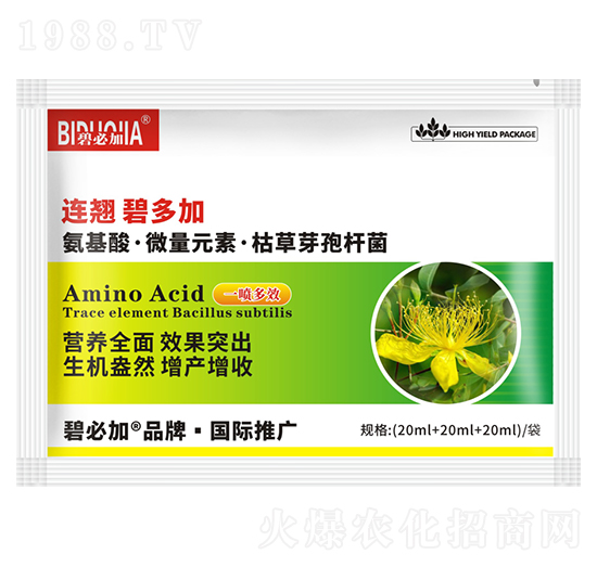 �B�N�̶��-�κ�����